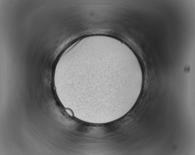 X0000115020107200911231259