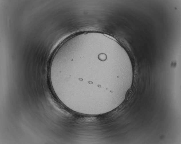 X0000115020108200911231259