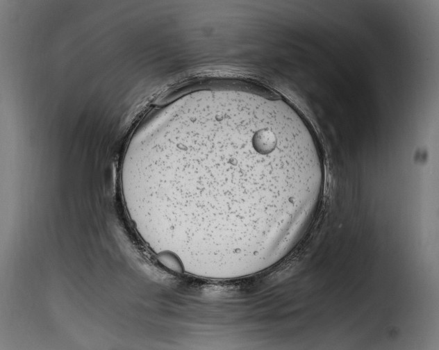 X0000115020109200911231259