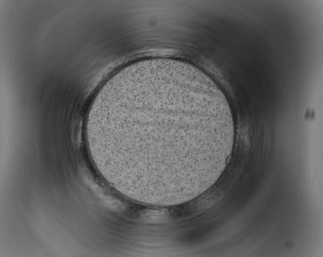 X0000115020110200911231259