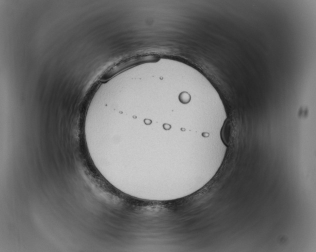 X0000115020112200911231259