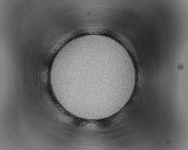 X0000115020113200911231259