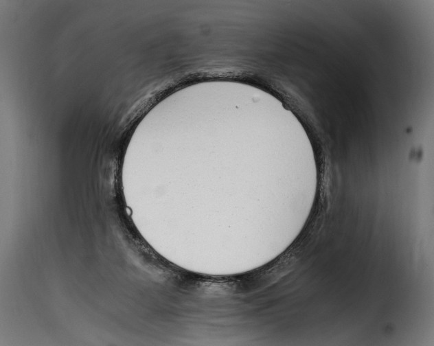 X0000115020115200911231259