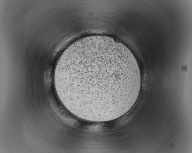 X0000115020116200911231259