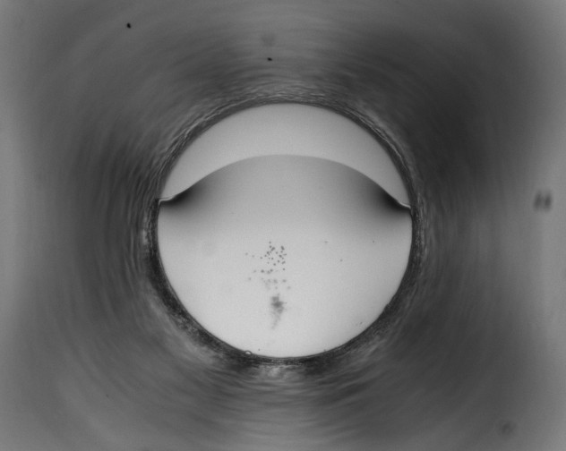 X0000115020117200911231259