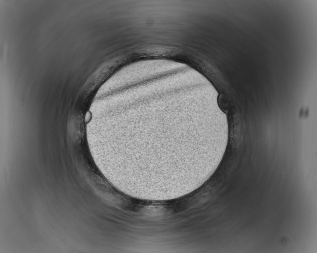 X0000115020119200911231259