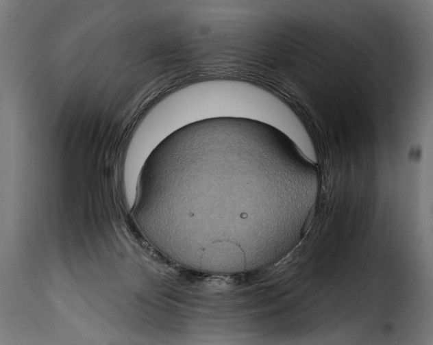 X0000115020124200911231259