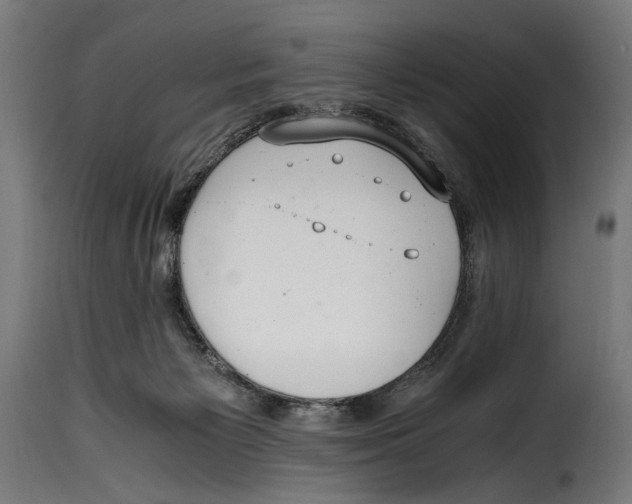 X0000115020125200911231259