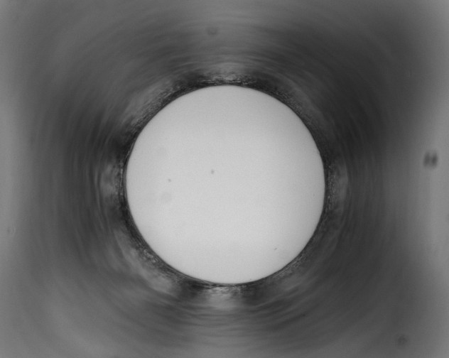 X0000115020126200911231259