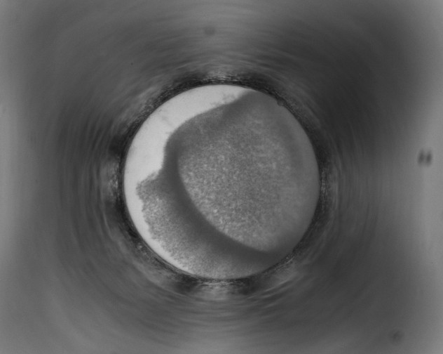 X0000115020127200911231259