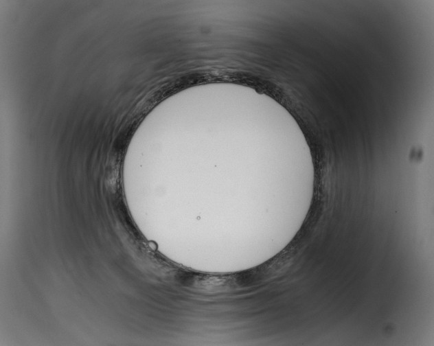 X0000115020129200911231259