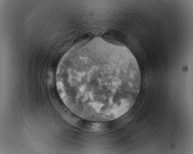 X0000115020130200911231259