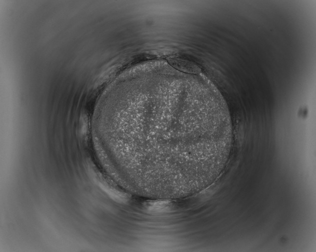 X0000115020132200911231259