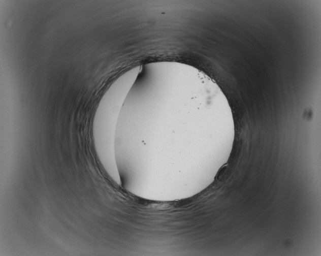 X0000115020133200911231259