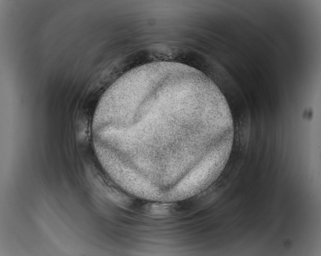 X0000115020134200911231259