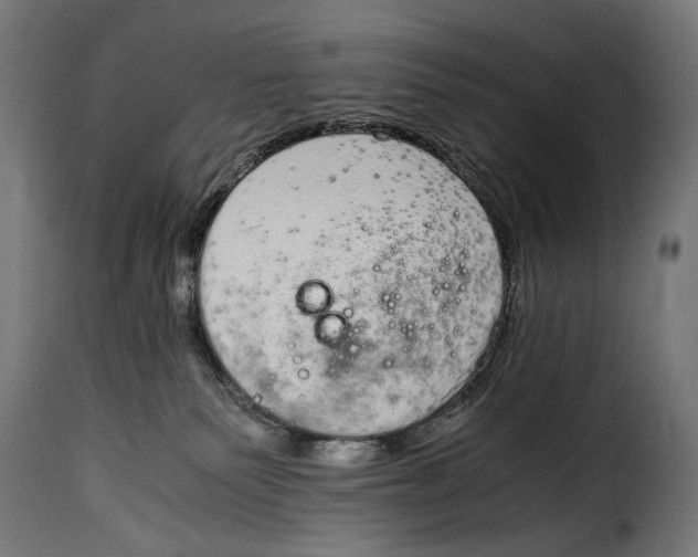 X0000115020135200911231259