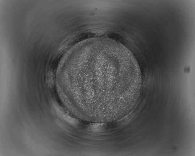 X0000115020136200911231259