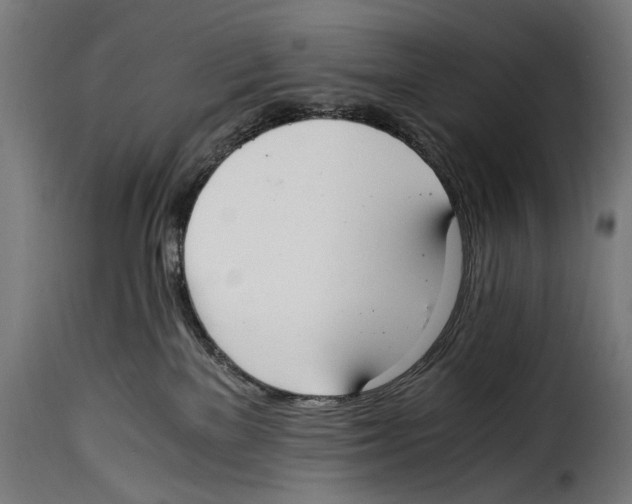 X0000115020137200911231259