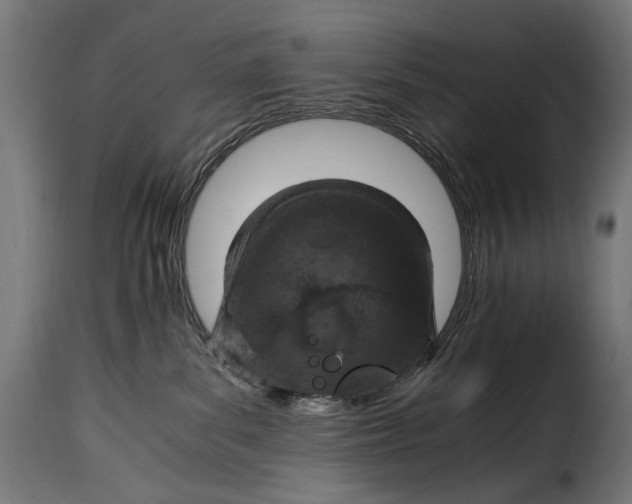 X0000115020139200911231259