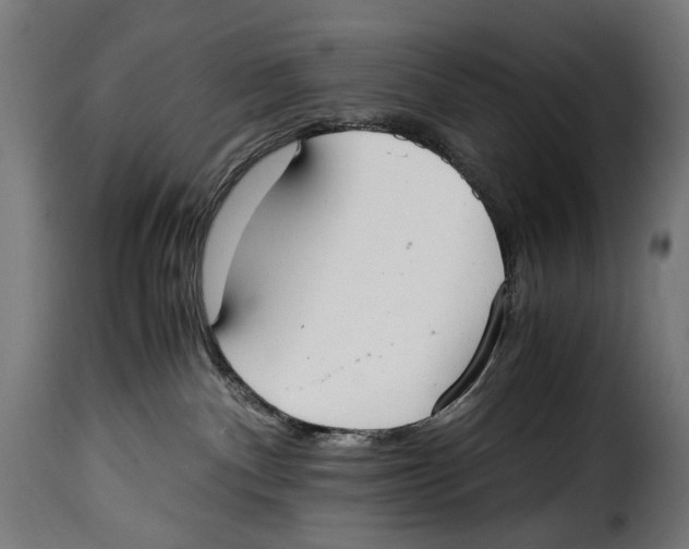 X0000115020140200911231259