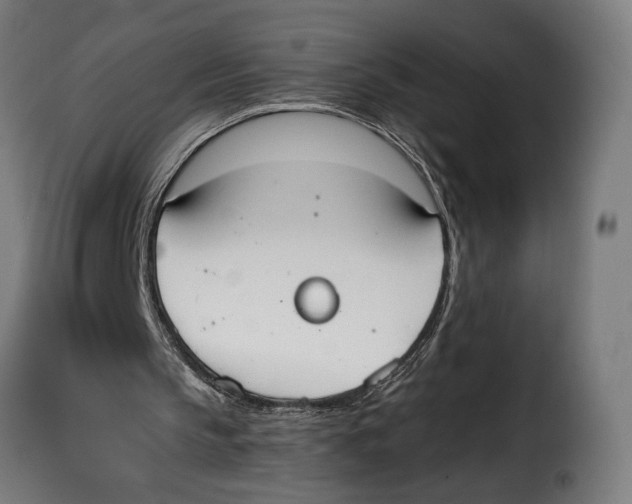 X0000115020145200911231258