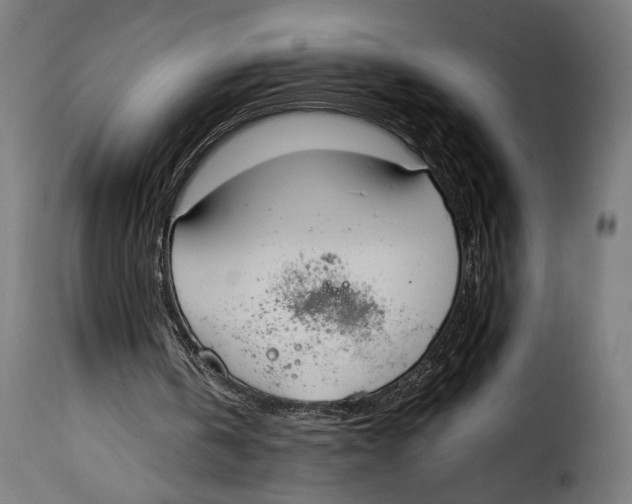 X0000115020146200911231258