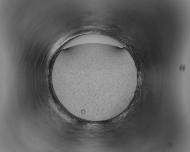 X0000115020150200911231258