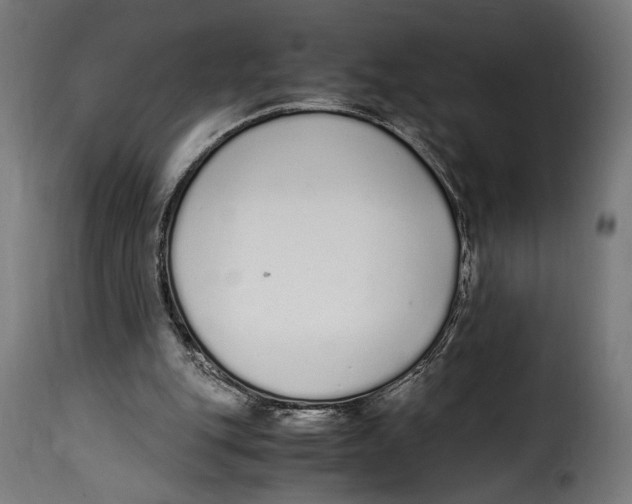 X0000115020151200911231258