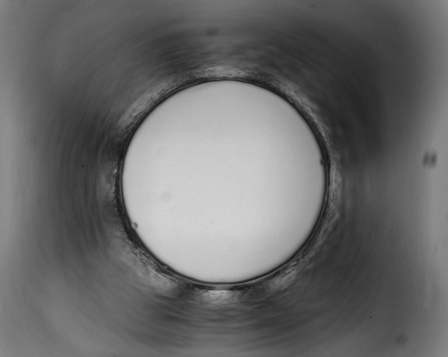 X0000115020153200911231258