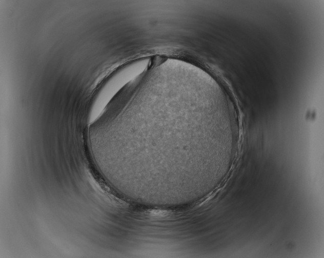 X0000115020154200911231258