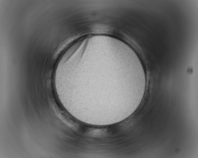 X0000115020155200911231258