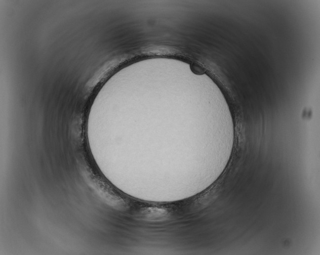 X0000115020159200911231258