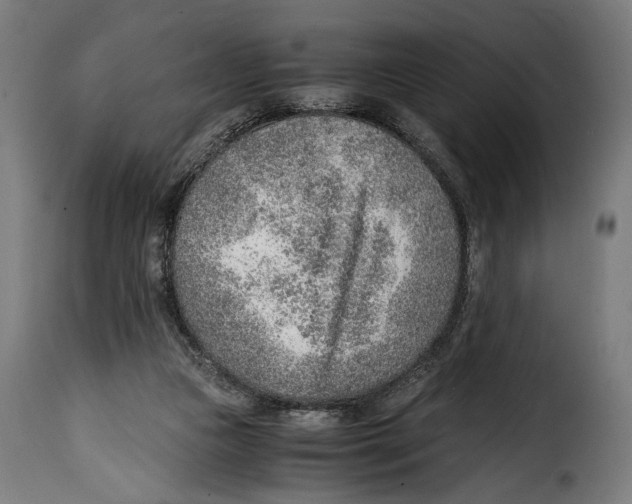 X0000115020161200911231258