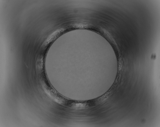 X0000115020163200911231258