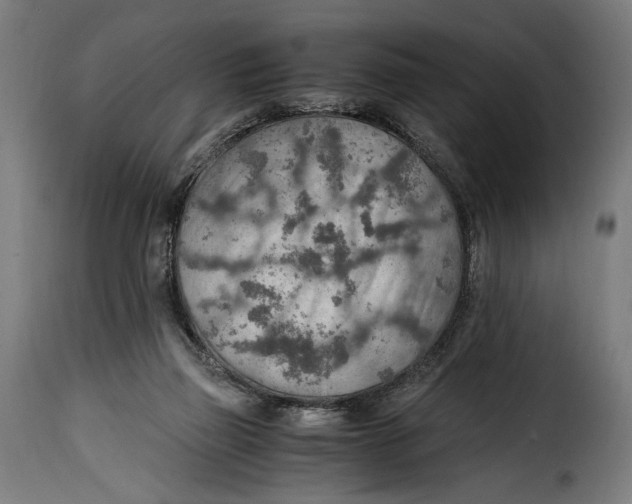 X0000115020165200911231258