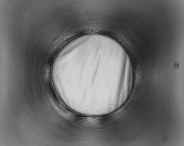 X0000115020166200911231258