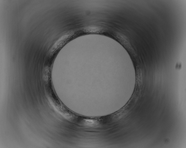 X0000115020167200911231258