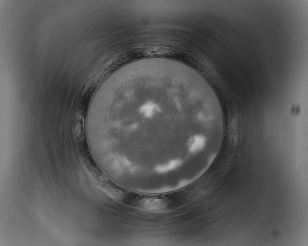 X0000115020169200911231258