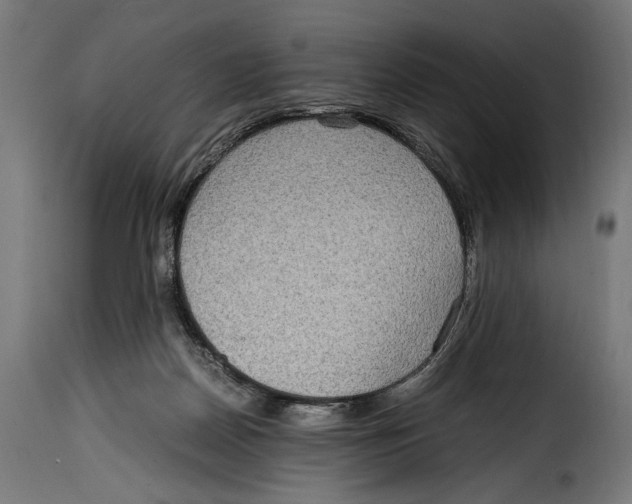 X0000115020170200911231258