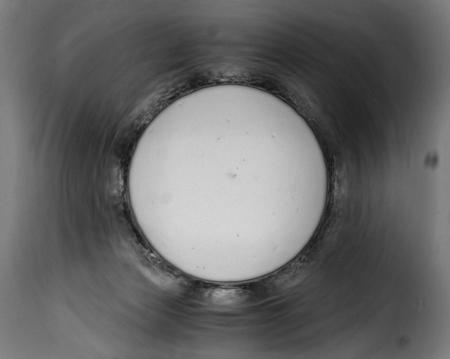 X0000115020173200911231258