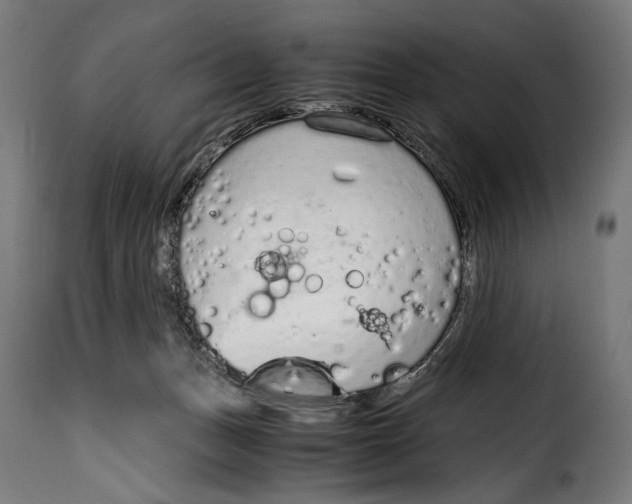 X0000115020175200911231258