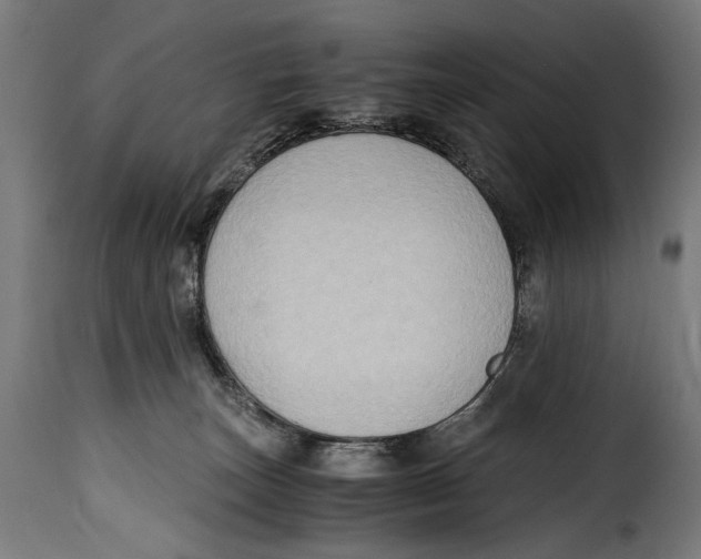 X0000115020179200911231258