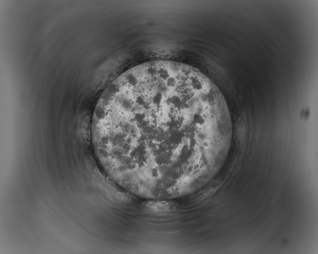 X0000115020181200911231258