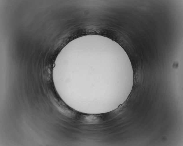 X0000115020183200911231258