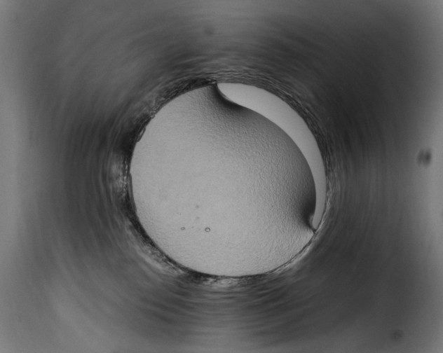 X0000115020186200911231258