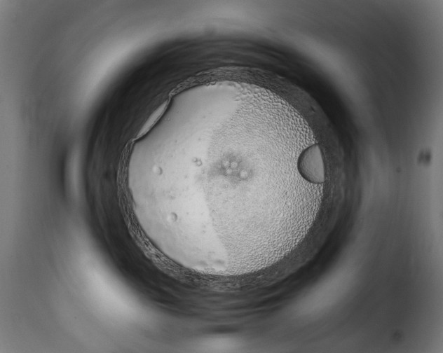 X0000115020189200911231259