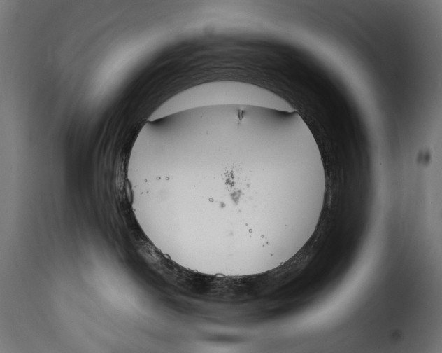 X0000115020190200911231259