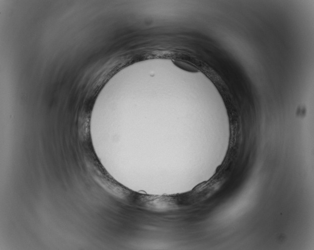 X0000115020191200911231259