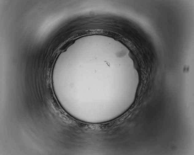 X0000115020194200911231258