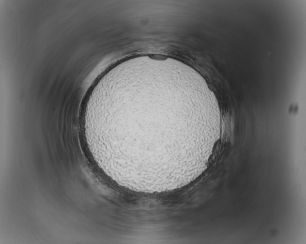 X0000115020195200911231258